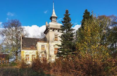 Historische villa te koop Lubsko, Milosza 2, Lubusz, Foto 1/7