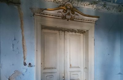 Historische villa te koop Lubsko, Milosza 2, Lubusz, Details