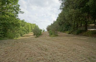 Landelijk huis te koop Città di Castello, Umbria, Foto 12/23