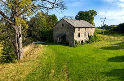 Molen te koop Pawłów, Mazovië, Foto 1/19