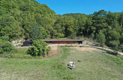 Landelijk huis te koop 06014 Montone, Umbria, Foto 35/36