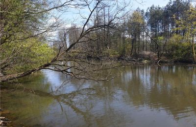 Historisch Park te koop Dębe Wielkie, Ruda, Mazovië, Vijver/Meer