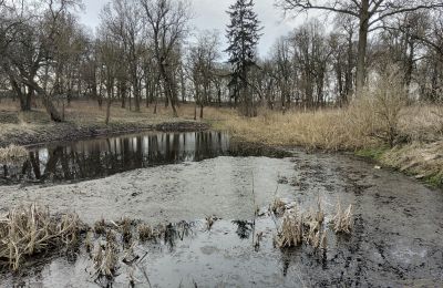 Landhuis te koop Bolkowice, West-Pommeren, Vijver/Meer