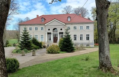 Kasteel te koop Sławnikowice, Slawnikowice 99, Neder-Silezië, Vooraanzicht