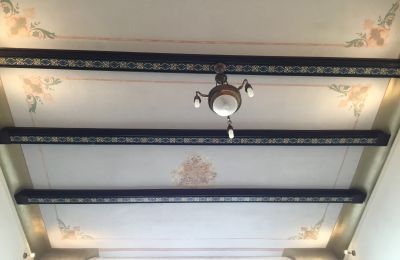 Historische villa te koop Strzelin, Kazanów 21, Neder-Silezië, Foto 9/35