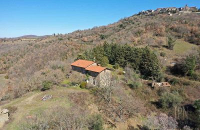 Landelijk huis te koop 06019 Preggio, Umbria, Foto 6/30