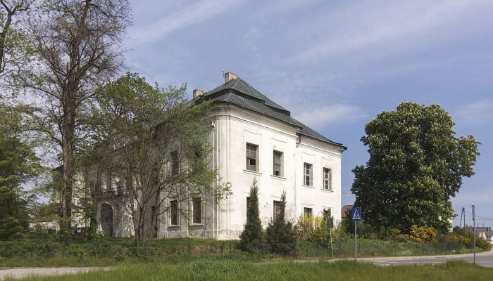 Kasteel te koop Pisarzowice, Opole,  Polen