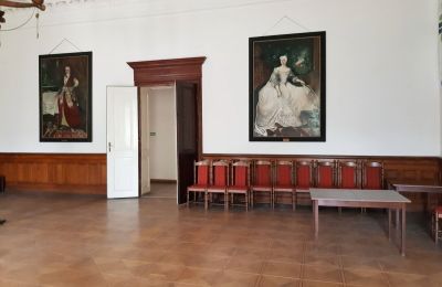Kasteel te koop Czempiń, Groot-Polen, Foto 8/12