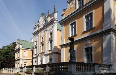 Kasteel te koop Czempiń, Groot-Polen, Foto 4/12