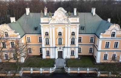 Kasteel te koop Czempiń, Groot-Polen, Dronefoto