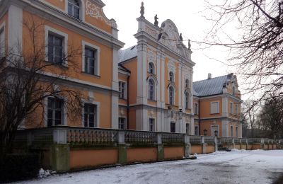 Kasteel te koop Czempiń, Groot-Polen, Vooraanzicht