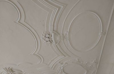 Kasteel te koop 04600 Altenburg, Thüringen,, Ansicht