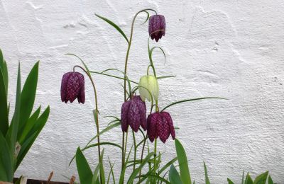 Kasteel te koop 91792 Ellingen, An der Vogtei 2, Bayern, Foto 38/61