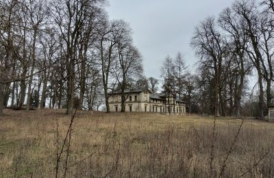 Kasteel te koop Stradzewo, Pałac w Stradzewie, West-Pommeren, Park