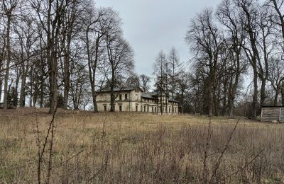 Kasteel te koop Stradzewo, Pałac w Stradzewie, West-Pommeren, Foto 14/14