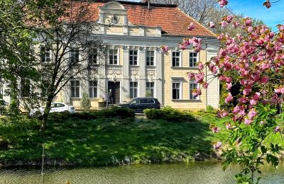 Kasteel Gola, Groot-Polen