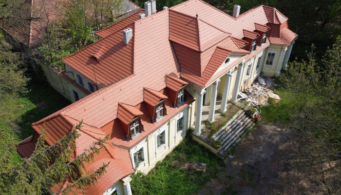  Skoraszewice 1