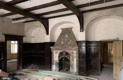 Kasteel te koop Skoraszewice, Skoraszewice  16, Groot-Polen, Open haard