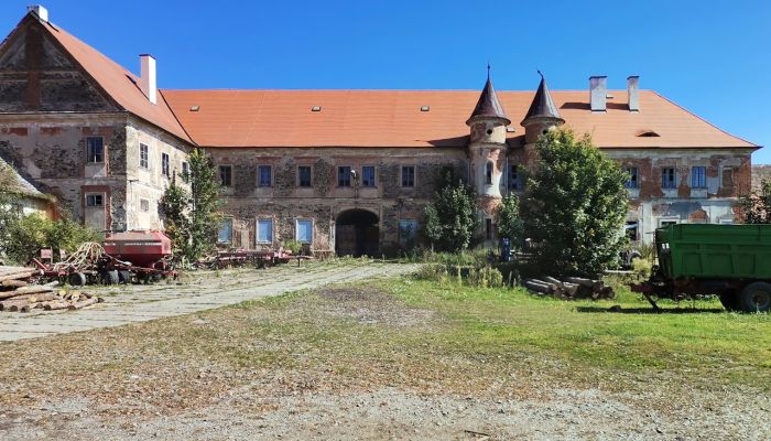 Kasteel te koop Regio Karlovy Vary