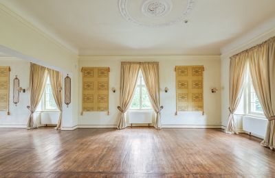 Kasteel te koop Samotwór, Neder-Silezië, Foto 8/23