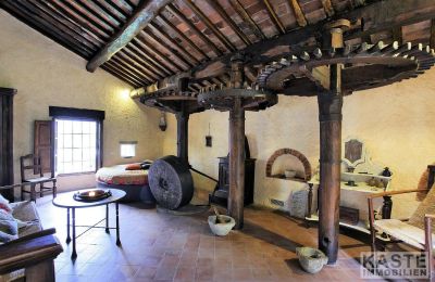 Molen te koop Camaiore, Toscane, Foto 3/12