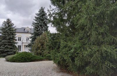 Landhuis te koop Zarębów, Dwór w Zarębowie, Łódź , Foto 19/22