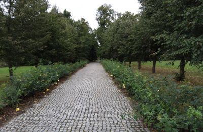 Landhuis te koop Zarębów, Dwór w Zarębowie, Łódź , Toegang