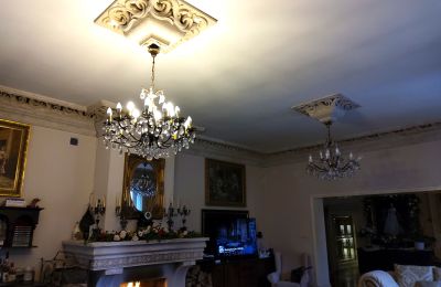 Landhuis te koop Zarębów, Dwór w Zarębowie, Łódź , Foto 8/22
