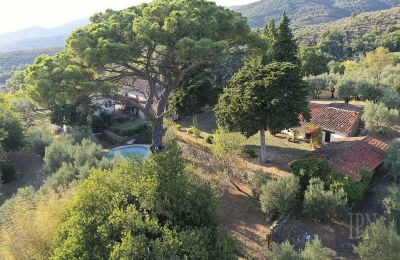 Historische villa te koop Castiglion Fiorentino, Toscane, Foto 17/45