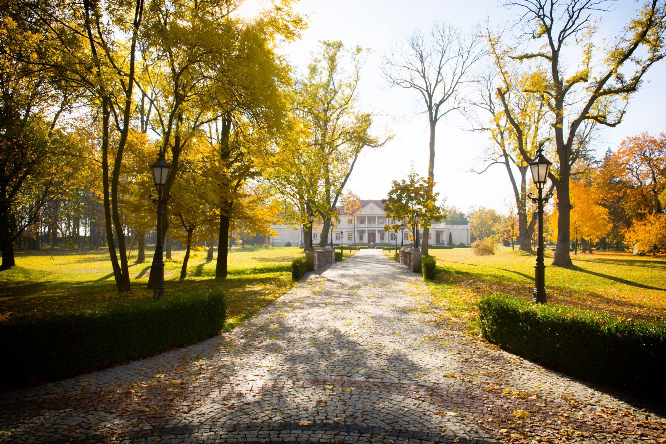 Zborów, Groot-Polen te koop
