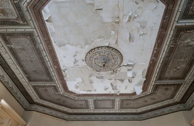 Kasteel te koop Głuchowo, Palac 1, Groot-Polen, Plafond
