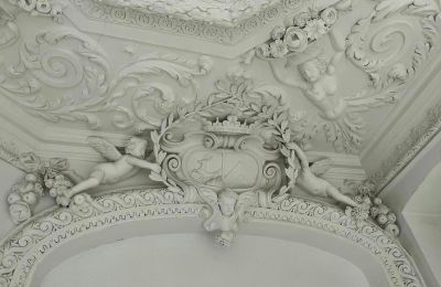 Kasteel te koop powiat gorzowski, gmina Witnica, Dąbroszyn, Pałac w Dąbroszynie, Lubusz,  © Stowarzyszenie Templum