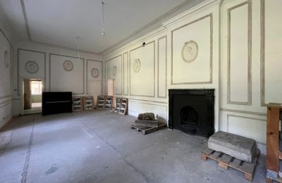 Kasteel te koop powiat gorzowski, gmina Witnica, Dąbroszyn, Pałac w Dąbroszynie, Lubusz, © Stowarzyszenie Templum