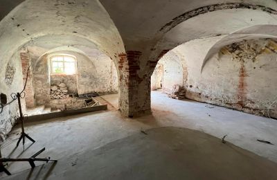 Kasteel te koop powiat gorzowski, gmina Witnica, Dąbroszyn, Pałac w Dąbroszynie, Lubusz, Kelder