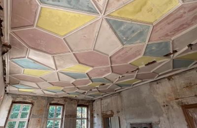 Kasteel te koop powiat gorzowski, gmina Witnica, Dąbroszyn, Pałac w Dąbroszynie, Lubusz, Plafond