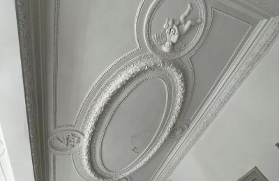 Kasteel te koop powiat gorzowski, gmina Witnica, Dąbroszyn, Pałac w Dąbroszynie, Lubusz, Plafond