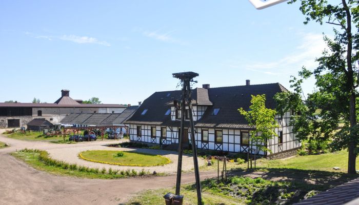  Dobrzany 5