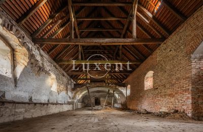 Kasteel te koop Žitenice, Zámek Žitenice, Ústecký kraj, Foto 23/31