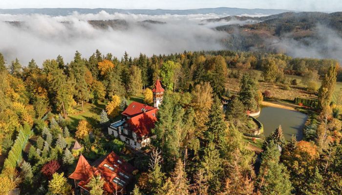 Kasteel te koop Karlovy Vary, Karlovarský kraj,  Tsjechische Republiek