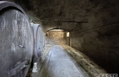 Historische villa te koop Santo Pietro Belvedere, Toscane, Foto 12/14