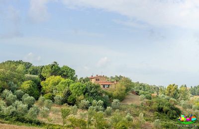 Landelijk huis te koop Livorno, Toscane, Foto 15/16