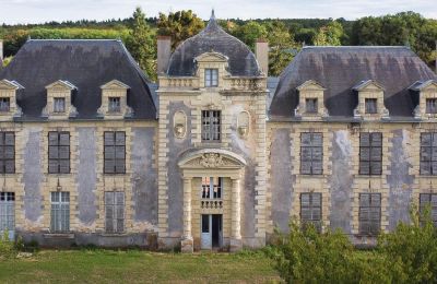 Kasteel te koop Loudun, Nouvelle-Aquitaine, Vooraanzicht