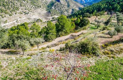 Historische villa te koop Relleu, Valencia, Foto 21/24