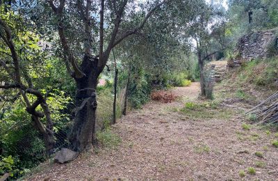 Landelijk pand te koop Conscente, Ligurië, Foto 9/17