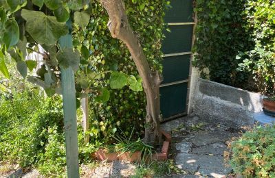 Landelijk pand te koop Menosio, Ligurië, Foto 10/32