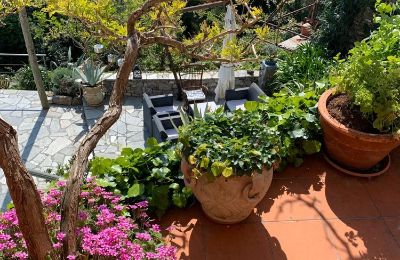 Landelijk pand te koop Poggio Bottaro, Ligurië, Foto 15/30