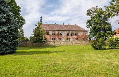 Kasteel te koop Kounice, Zámek Kounice, Středočeský kraj, Zámek Kounice 2024