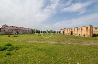 Kasteel te koop Kounice, Zámek Kounice, Středočeský kraj, Zámek Kounice 2024