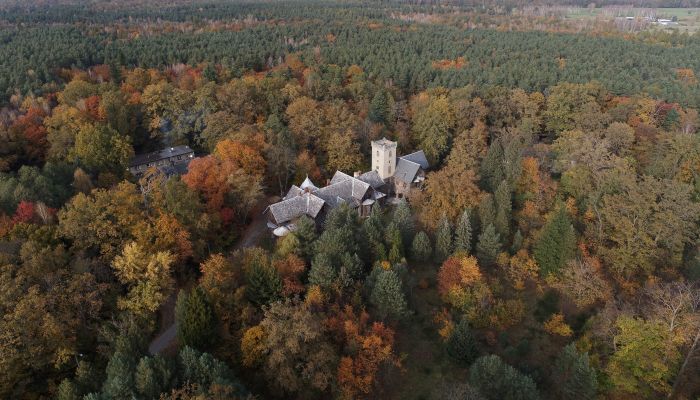 Kasteel te koop Sośnie, Groot-Polen,  Polen