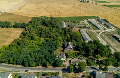 Landhuis te koop Rogoźno, Dwór w Studzieńcu 28, Groot-Polen, Omgeving van het pand